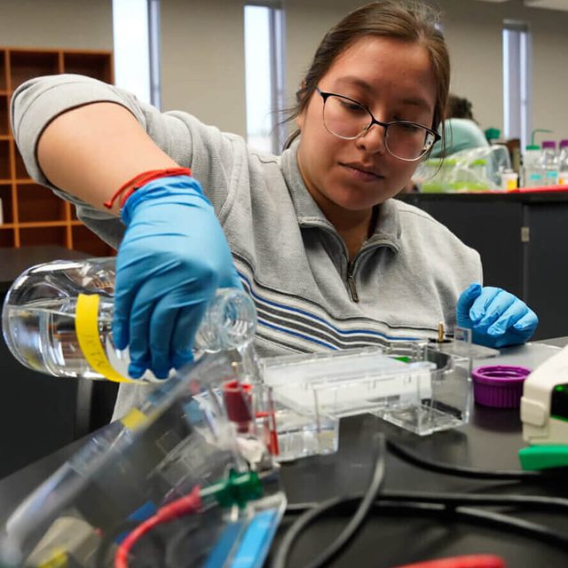 A student pours a solution during a lab exercise at St. Mary’s University